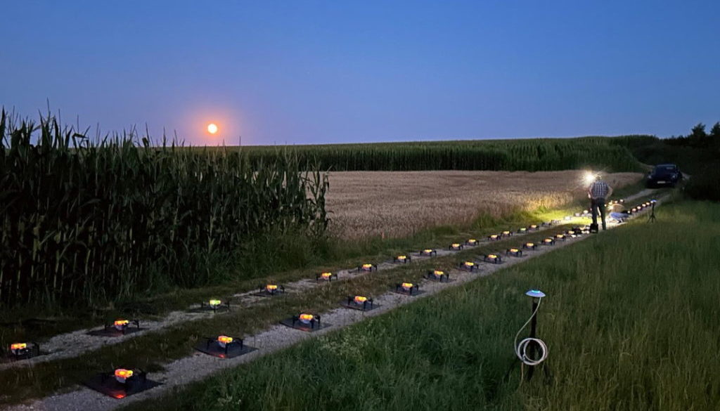 Träumst du von einem Event, das deine Gäste in Staunen versetzt? Dann lass dich von der Magie der Drohnen verzaubern!