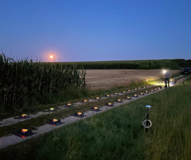 Träumst du von einem Event, das deine Gäste in Staunen versetzt? Dann lass dich von der Magie der Drohnen verzaubern!