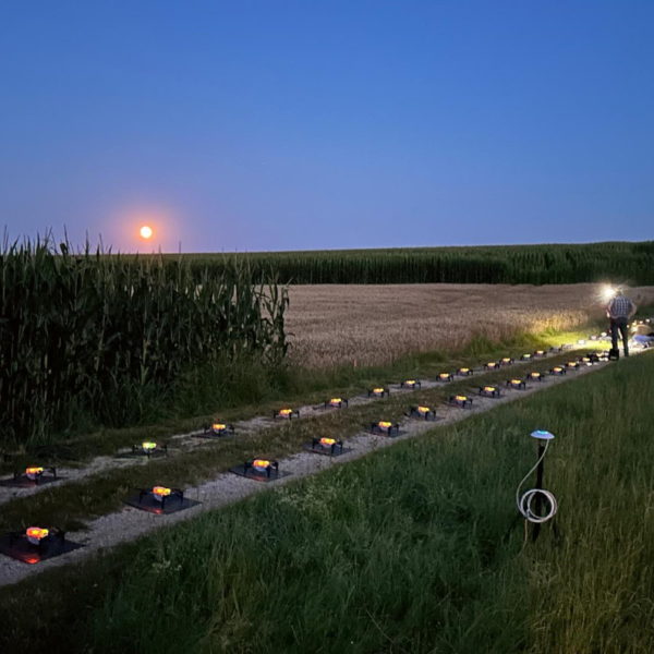 Träumst du von einem Event, das deine Gäste in Staunen versetzt? Dann lass dich von der Magie der Drohnen verzaubern!